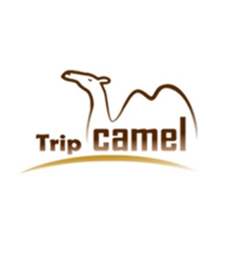 Βαλίτσα σκληρή trip CAMEL C006Lp - 75cm